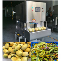 Hoge Efficiëntie Automatische Mango Kiwi Peeling En Destoner Machine Voor Groente-En Fruitverwerking In Bakkerijen