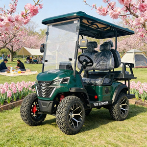 Nouvelle Voiturette de Golf Électrique 4 Places 2026, Buggy de Golf 1+1 Passagers pour Terrains de Golf et Complexes Hôteliers - Product Image 1