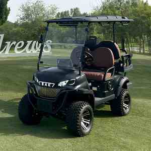 Hoogwaardige 2+2-persoons elektrische golfkar met vierwielaandrijving, straatlegaal, sfeerverlichting, 5kW vermogen, 70-90km bereik, groothandel - Product Image 2