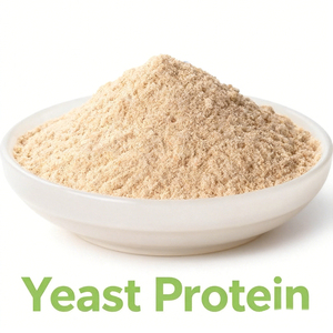 Proteína de <span class=keywords><strong>Levadura</strong></span> en Polvo Angeo Pro F80 al por Mayor, Extracto de <span class=keywords><strong>Levadura</strong></span> con Alto Contenido de Proteínas, Proteína de <span class=keywords><strong>Levadura</strong></span> Pura al 99% - Product Image 1