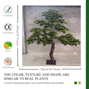 Customized Large Indoor Outdoor Artificial Podocarpus Plant Ornamental <strong>Trees</strong> Customized Artificial Pine <strong>Trees</strong> - Product Image 5
