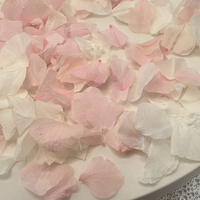 Bunga Kering Dekoratif 20g, Kelopak Bunga Terawetkan, Hydrangea Mawar Alami, Konfeti Biodegradable untuk Bunga Pernikahan, Laris Terjual