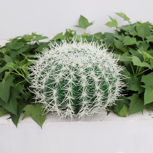 Ornements de <span class=keywords><strong>cactus</strong></span> succulents Grandes plantes de <span class=keywords><strong>cactus</strong></span> artificielles <span class=keywords><strong>pour</strong></span> décoration intérieure et extérieure - Product Image 1