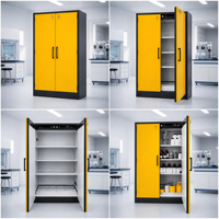 Armoire chimique ignifuge, anti-explosion et résistante à la corrosion, entièrement en acier, avec double verrouillage et bac de récupération des déversements, pour universités et pharmacies, personnalisable