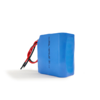 Batterie lithium-ion rechargeable A&S Power 1860 6S1P 22,2V 3200mAh 71,04Wh, pack de batteries plates Li-ion pour pistolet de massage LiCoO2