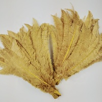 Plumes d'autruche Nandu en gros de 50-55 cm/20-22 pouces pour sacs à dos de carnaval, accessoires de costume et de coiffure