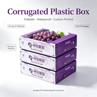 Boîte d'emballage pour raisins, robuste, impression personnalisée, boîte logistique en plastique ondulé, caisse réutilisable pour fruits et légumes