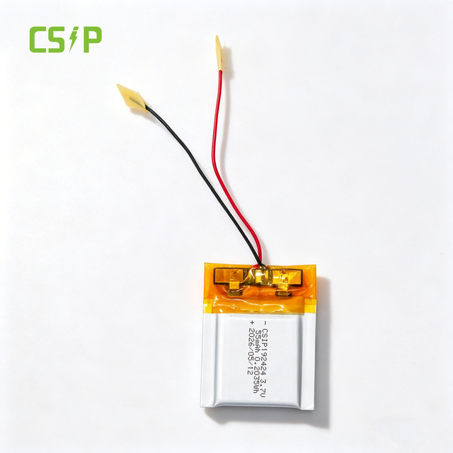 Customized Pouch Mini Lipo Cell CSIP 192424 Ultra-thin Polymer Battery 3.7v 55mah Slim Li-Polymer Battery