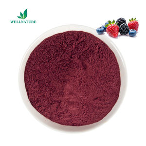Suco De Fruta <span class=keywords><strong>Berry</strong></span> Misturado Orgânico Super <span class=keywords><strong>Berry</strong></span> Em Pó Mirtilo Amora Morango Fresco Misturado <span class=keywords><strong>Berry</strong></span> Em Pó - Product Image 1