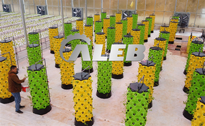 Nuevo Sistema Hidropónico Vertical Económico para Agricultura, Huerto Vertical Interior, Cultivo Vertical, Torre Hidropónica - Product Image 3