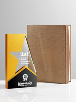 Trophée en cristal personnalisé, design étoile, récompense d'entreprise, employés exceptionnels, cadeau commémoratif pour partenaires, trophée sur mesure