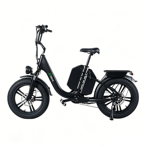 Vélo de livraison électrique 48V 50Ah 750W, vélo électrique à double <span class=keywords><strong>batterie</strong></span>, vélo de livraison de pizzas longue portée - Product Image 2