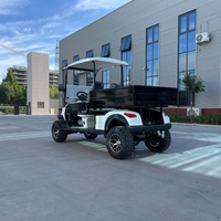 Voiturette de golf électrique 4x4 pour 1 ou 2 passagers, véhicule utilitaire à 4 roues pour le transport de marchandises dans les villas, les centres de villégiature et les zones touristiques