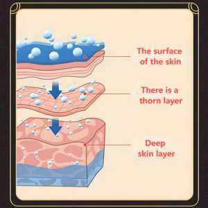 Produtos De Saúde Por Atacado Patches De Próstata Herbal Aliviar A Dor E Urgente Micção Herbal Suplementos Patches - Product Image 4