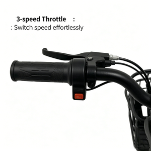 Bicicleta Eléctrica con Freno de Tambor Delantero y Trasero Aprobado, Batería de Plomo-Ácido de 48V 12Ah 20Ah para Exportación - Product Image 2