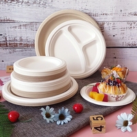 Assiette jetable en bagasse blanche, compostable, 10 pouces, résistante, écologique, fabriquée à partir de fibres de canne à sucre naturelles