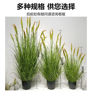 Planta Artificial de Cola de Lobo en Maceta, Verde con Puntas Rojas, Realista, Decoración para Bodas y Hogar, Accesorios para Exteriores - Product Image 4