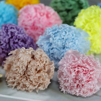 QY Eternal Natural Touch Carnation Gifts Florist Handmade Forever Bouquet Materials 4-5cm Kepala Bunga Anyelir Awet Buatan Tangan