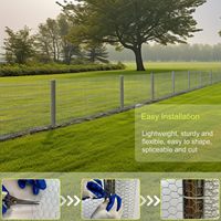 Grillage hexagonal galvanisé pour volailles, idéal pour clôtures de jardin, poulaillers, lapins et chiens