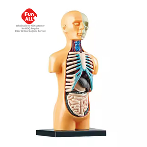 2025 <span class=keywords><strong>Science</strong></span> torse <span class=keywords><strong>humain</strong></span> <span class=keywords><strong>corps</strong></span> modè<span class=keywords><strong>le</strong></span> mannequin squelette modè<span class=keywords><strong>le</strong></span> anatomie anatomique médical organes internes - Product Image 1