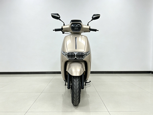 Motocicleta Eléctrica Personalizable de 1200W con Motor sin Escobillas, Batería de Litio de 60V, Alta Velocidad de 52km/h, Largo Alcance, 150kg, Premium - Product Image 4