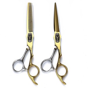 Professional Hairdressing Scissors Set 6 Inch Gold Silver Stainless Steel Flat Shears Thinning Shears Long Handle Hair Cutting - Product Image 1