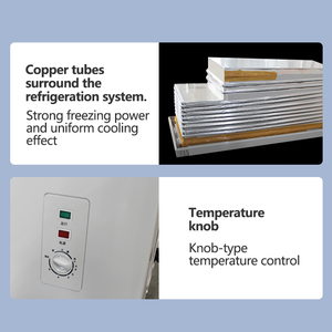 Congélateur horizontal commercial à double porte pour supermarché, refroidissement par air, pour viande, type coffre profond - Product Image 6