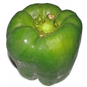 Cultivo Profesional de Pimiento Dulce con Productividad Superior, Desarrollo Consistente y Estabilidad en el Éxito Comercial - Product Image 6