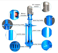 Bomba de Lodos Vertical Semisumergible para Minería Zjl/Sp, Tamaño de Salida Personalizable, Bomba de Lodos Vertical con Eje de 1800 mm para Desarrollo