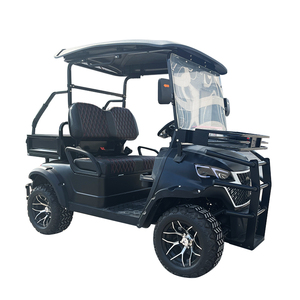 Voiturette de golf électrique monoplace avec toit, mini-voiturette de chasse pour adulte, modèle 2026, moteur 3500W, charge utile 500kg, vitesse 30-50km/h - Product Image 3
