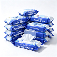 Lingettes humides biodégradables non tissées jetables pour toilettes, 48 lingettes personnalisées à l'aloe vera pour le nettoyage des fesses à usage domestique
