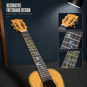 Ukulele de concert personnalisé OEM/ODM de 23 pouces, table en épicéa massif et frêne, finition brillante, 4 cordes en nylon - Product Image 2