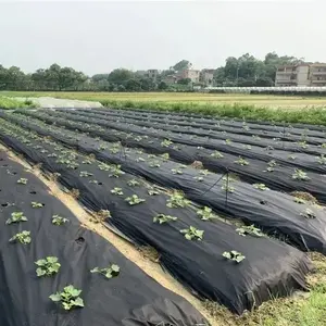 Landwirtschaft Verwendung Produkt Abbaubares Anti-UV-PP-Spinn vlies aus Polypropylen zur Unkraut bekämpfung