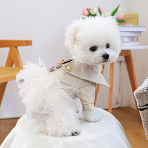 Fashion Spice Girl Biker <strong>Leather</strong> Pet Suit Dress <strong>Jacket</strong> Windbreaker <strong>Dog</strong> Pet Clothing Coat - Product Image 4