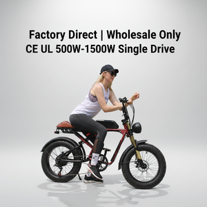 Factory Wholesale Hybrid Ebike 250W 48V 15AH 20x4.0 Disc Brake Snow Fat Tire Electric Bike in Stock Adults Electric Bicycle - Product Image 2