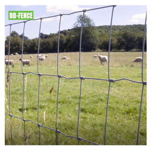 عالية الشد المجلفن غير تسلق مربع عقدة سلك شبكة سياج الخيل - Product Image 1