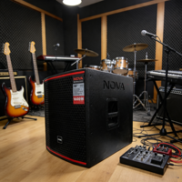VAMAV Bocinas Profesional VSP15 Subwoofer de madera 15 pulgadas, 500W RMS, para eventos interior y exterior, sistema DJ