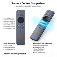 Télécommande vocale 16 touches pour Smart TV LCD et Android TV Box – Usine source OEM/ODM, personnalisation du logo et du clavier