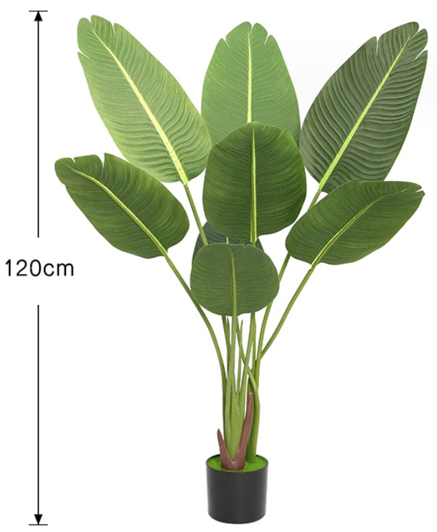 120cm