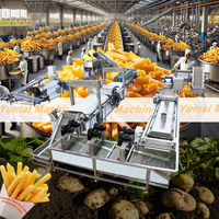 500 Kg/u Volautomatische Industriële Snel Bevroren Frietjes Maken Machine Belgische Frietjes Productielijn