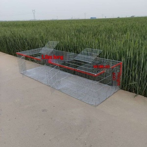 Cages robustes et épaissies pour pigeons, lapins, poulets et cailles, en fil galvanisé, assemblées, pour l'élevage domestique - Product Image 2