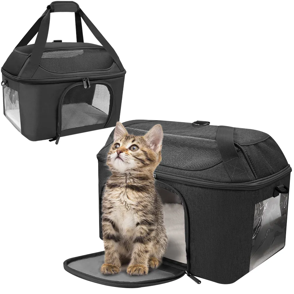 Sac à dos personnalisé avec fenêtre en maille pour chats, étui respirant et pliable pour animaux de compagnie, caisse de Transport et de voyage en plein air