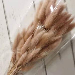 Vente en gros de <span class=keywords><strong>Lagurus</strong></span> Ovatus (Queues de lapin) séchées naturelles de qualité supérieure, 50 tiges/lot, pour les fleuristes et les organisateurs d'événements - Product Image 5
