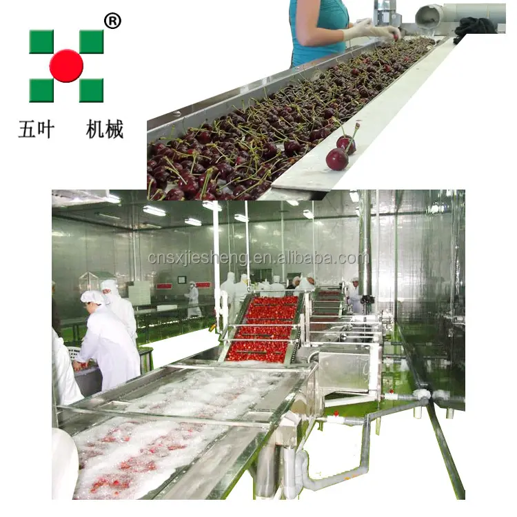 IQF Food Processing Machine IQF Frozen Strawberry Vegetable Fruit Freezing Processing Machine Frozen Fruit and Vegetable Line