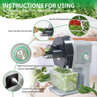 Coupe-légumes électrique automatique et multifonction Trancheuse d'ail et d'oignon vert Tranches de concombre Trancheuse de légumes et de carottes
