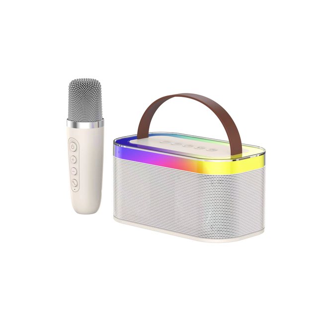 Portable Bluetooth Speaker with Microphone, Big Bass RGB Karaoke Speaker for Home Outdoor Party