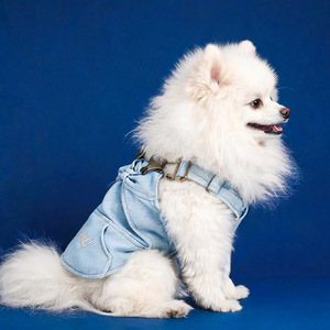 PETCIRCLE ชุดเอี๊ยมสุนัขและแมวน่ารักสำหรับฤดูใบไม้ผลิ/ฤดูร้อน แบบไม่มีแขน พร้อมกระโปรงยีนส์ผูกโบว์สุดสวย - Product Image 3