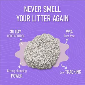Offre Spéciale : Litière pour chat en bentonite à agglomération rapide et sans poussière, directement de l'usine avec options OEM/ODM - Product Image 2