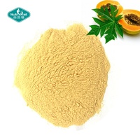 Extrait de Fruit Enzyme de papaïne de qualité alimentaire, usine professionnelle, extrait de papaïne en vrac, poudre d'enzyme de papaïne