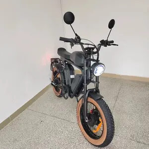 Electric Bike Dual Motor 2000Watt Triple Battery 70Ah48V Oil Brake Full Suspension Fast Fat Tire Electric Bike Dual Motor